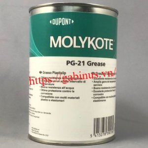 molykote-pg-21-silikon-fett-1-kg